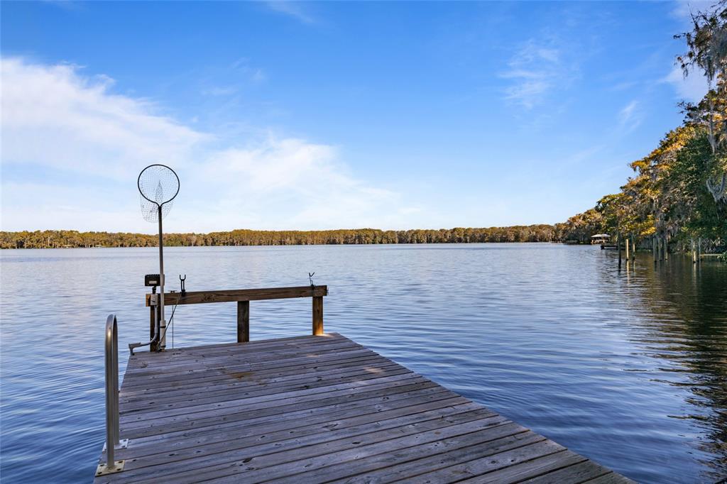 254 Redwater Lake Road Hawthorne, FL 32640 - Photo 1 of 1 Gallery Image 1