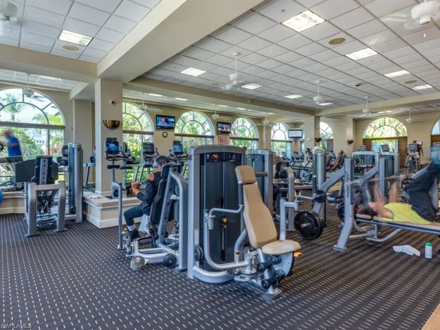 a garden with palm trees