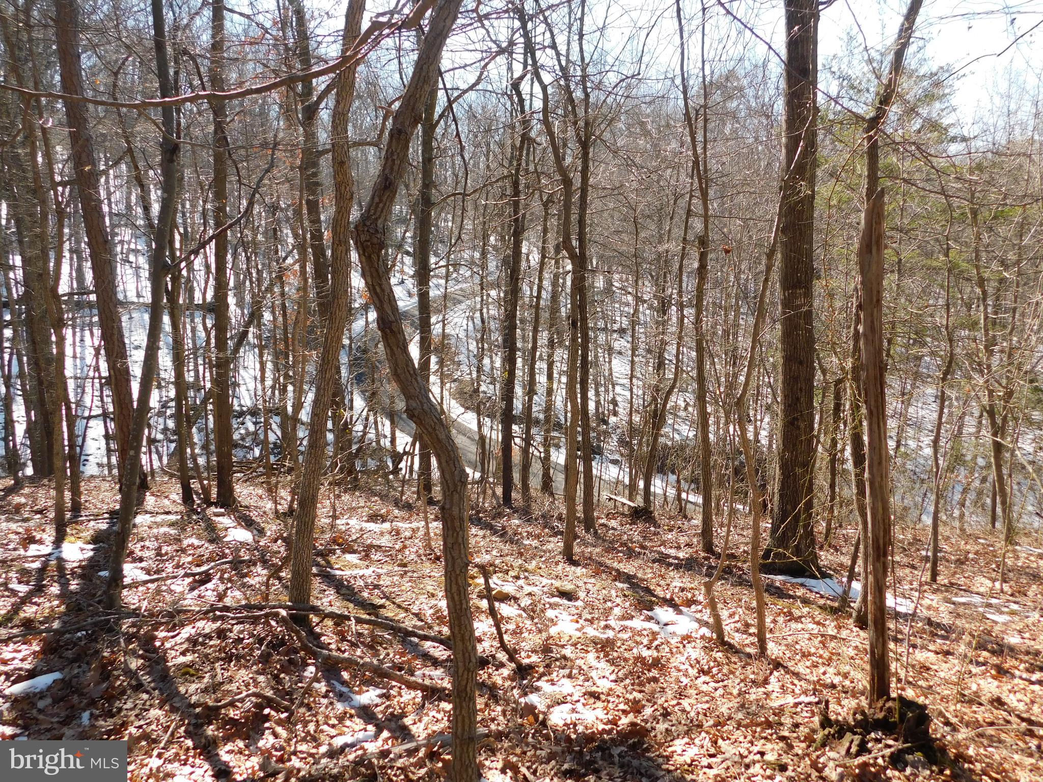 0 Brandy Road Front Royal, VA 22630 - Photo 17 of 35 Gallery Image 17