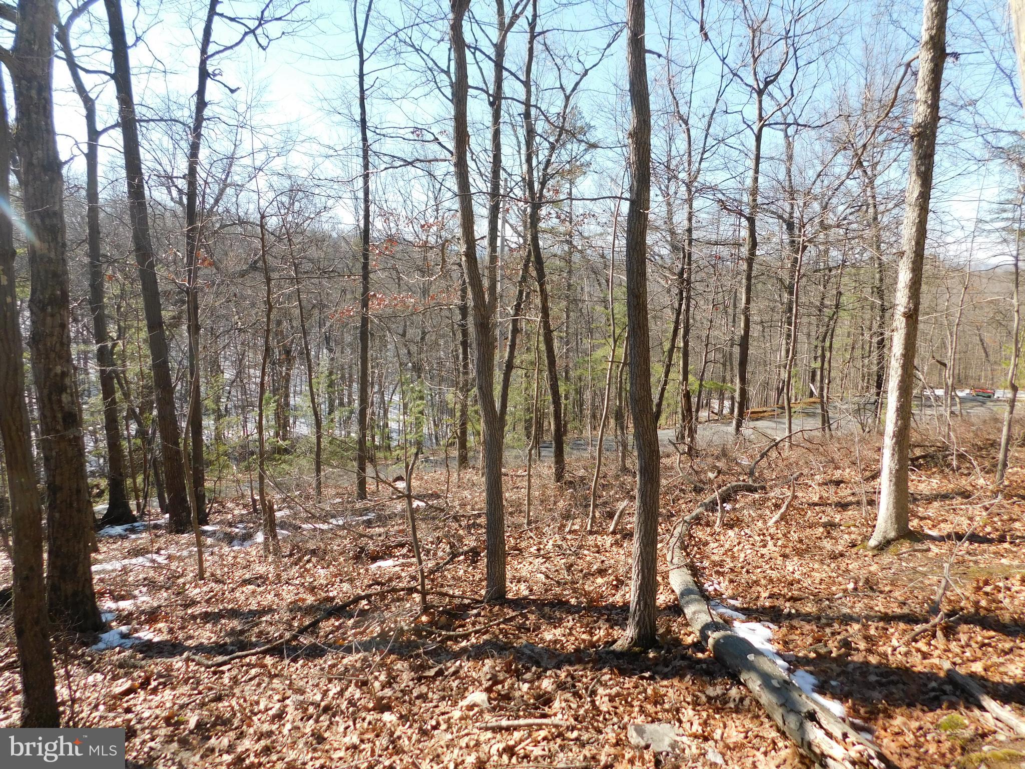 0 Brandy Road Front Royal, VA 22630 - Photo 21 of 35 Gallery Image 21
