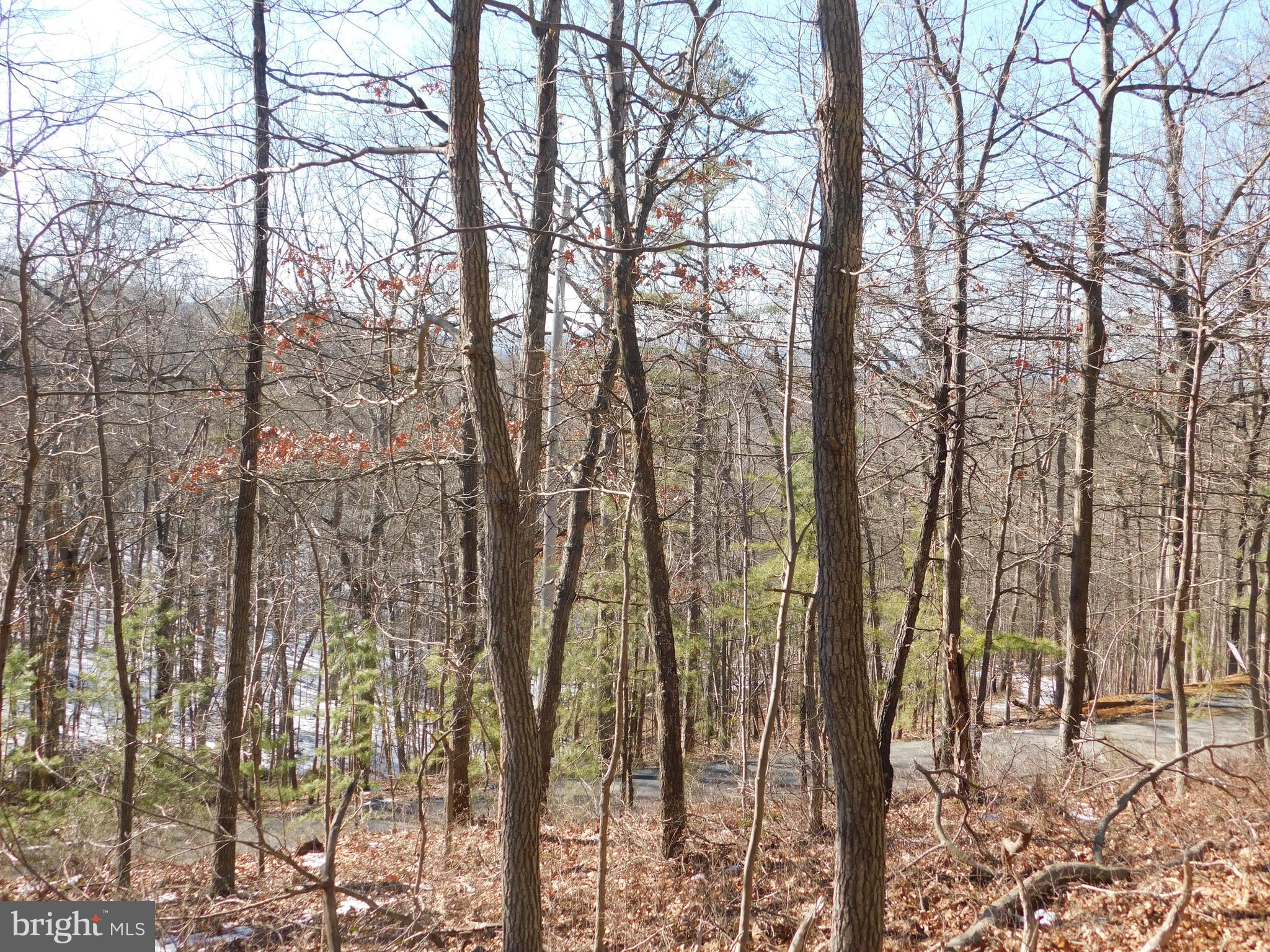 0 Brandy Road Front Royal, VA 22630 - Photo 22 of 35 Gallery Image 22
