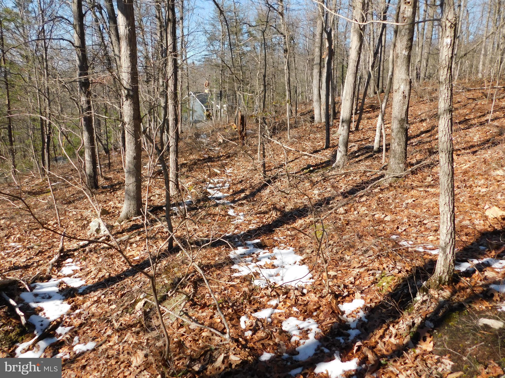 0 Brandy Road Front Royal, VA 22630 - Photo 23 of 35 Gallery Image 23