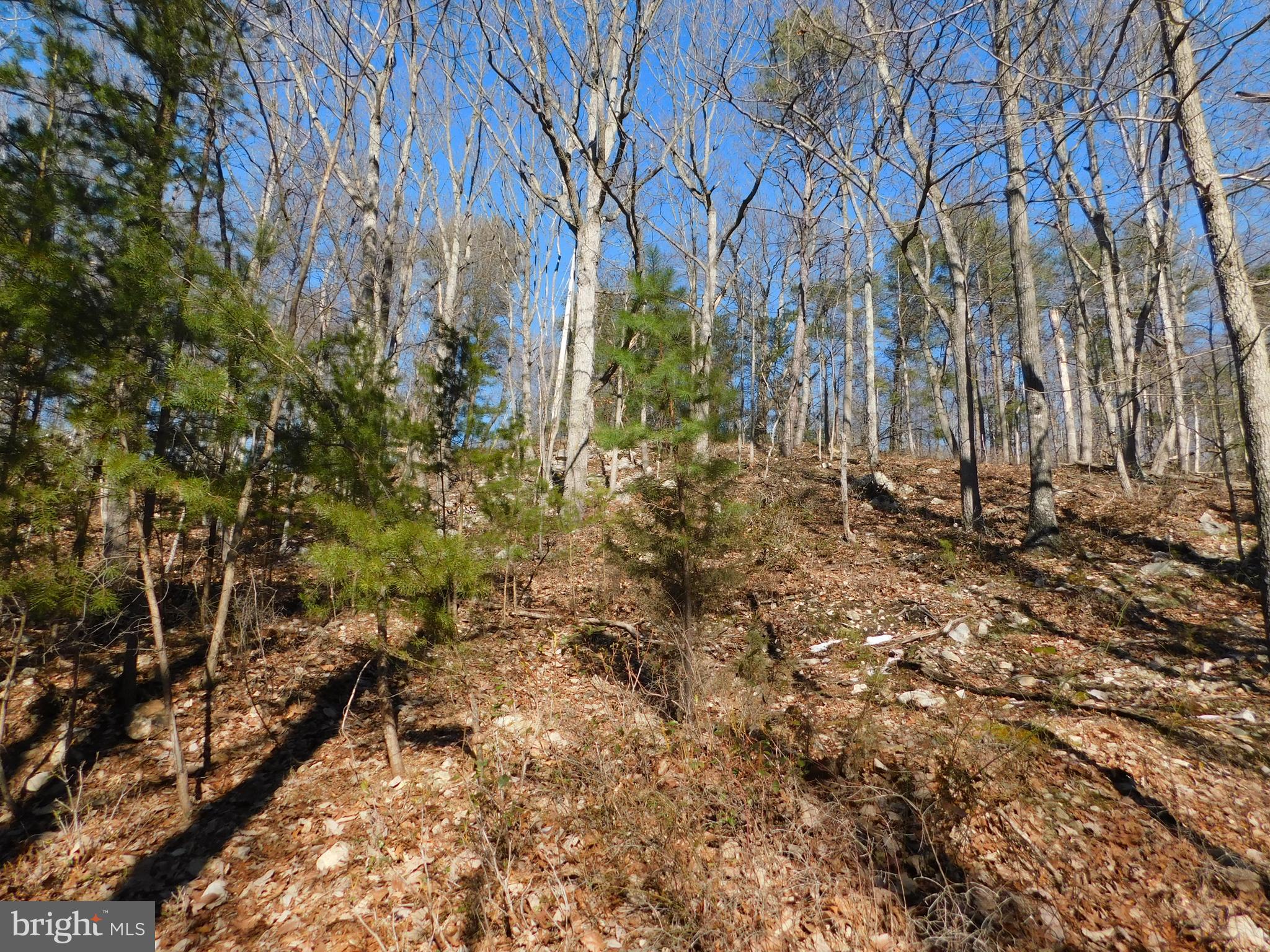 0 Brandy Road Front Royal, VA 22630 - Photo 27 of 35 Gallery Image 27
