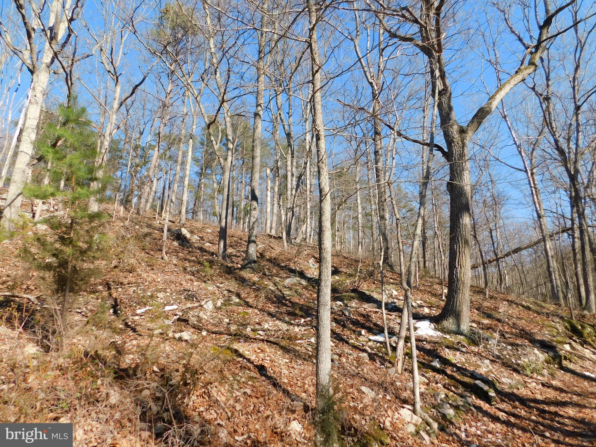0 Brandy Road Front Royal, VA 22630 - Photo 28 of 35 Gallery Image 28