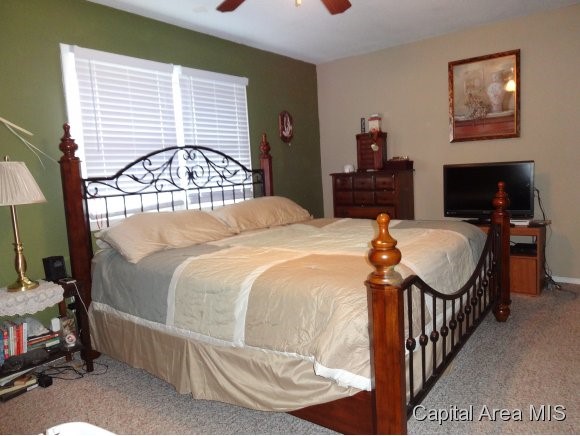 254 Stutely Lane Springfield, IL 62704 - Photo 8 of 17