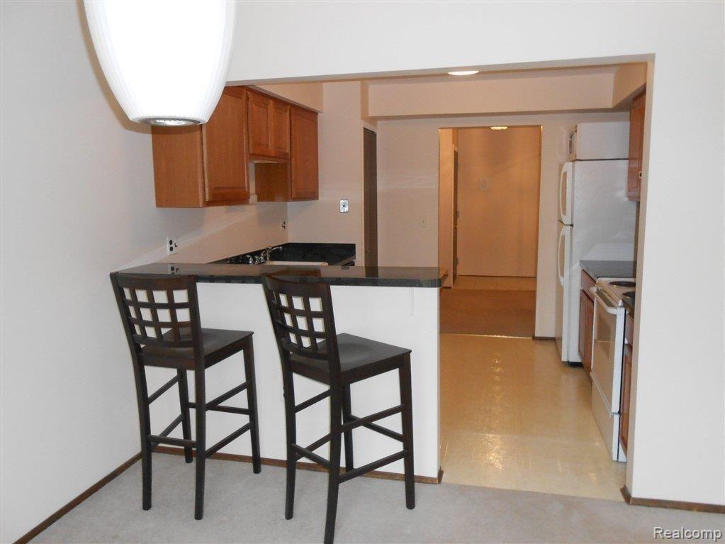 1693 Riverside Drive, Unit 73 Rochester, MI 48309 - Photo 4 of 12 Updated Kitchen.jpg
