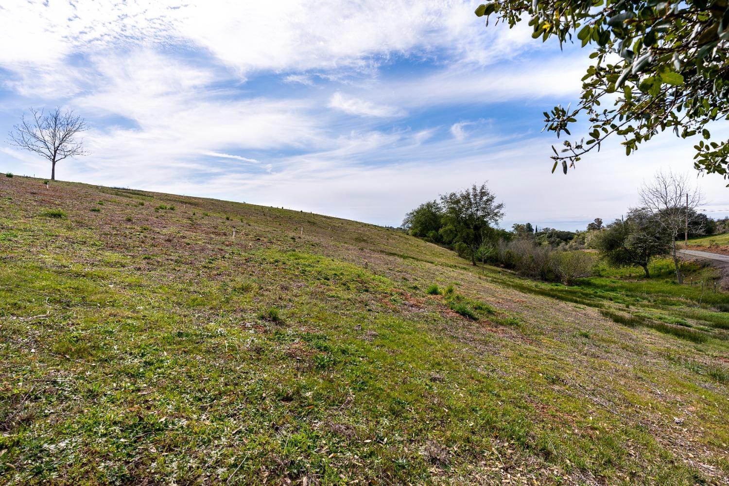 3180 Rattlesnake Road Newcastle, CA 95658 - Photo 15 of 39 a view of a field with an ocean