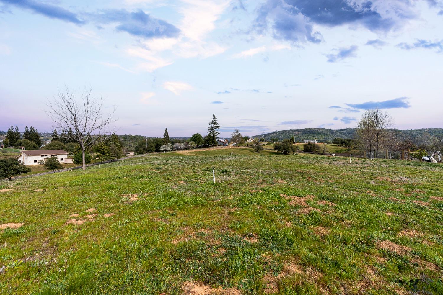 3180 Rattlesnake Road Newcastle, CA 95658 - Photo 18 of 39 a view of a grassy field with trees