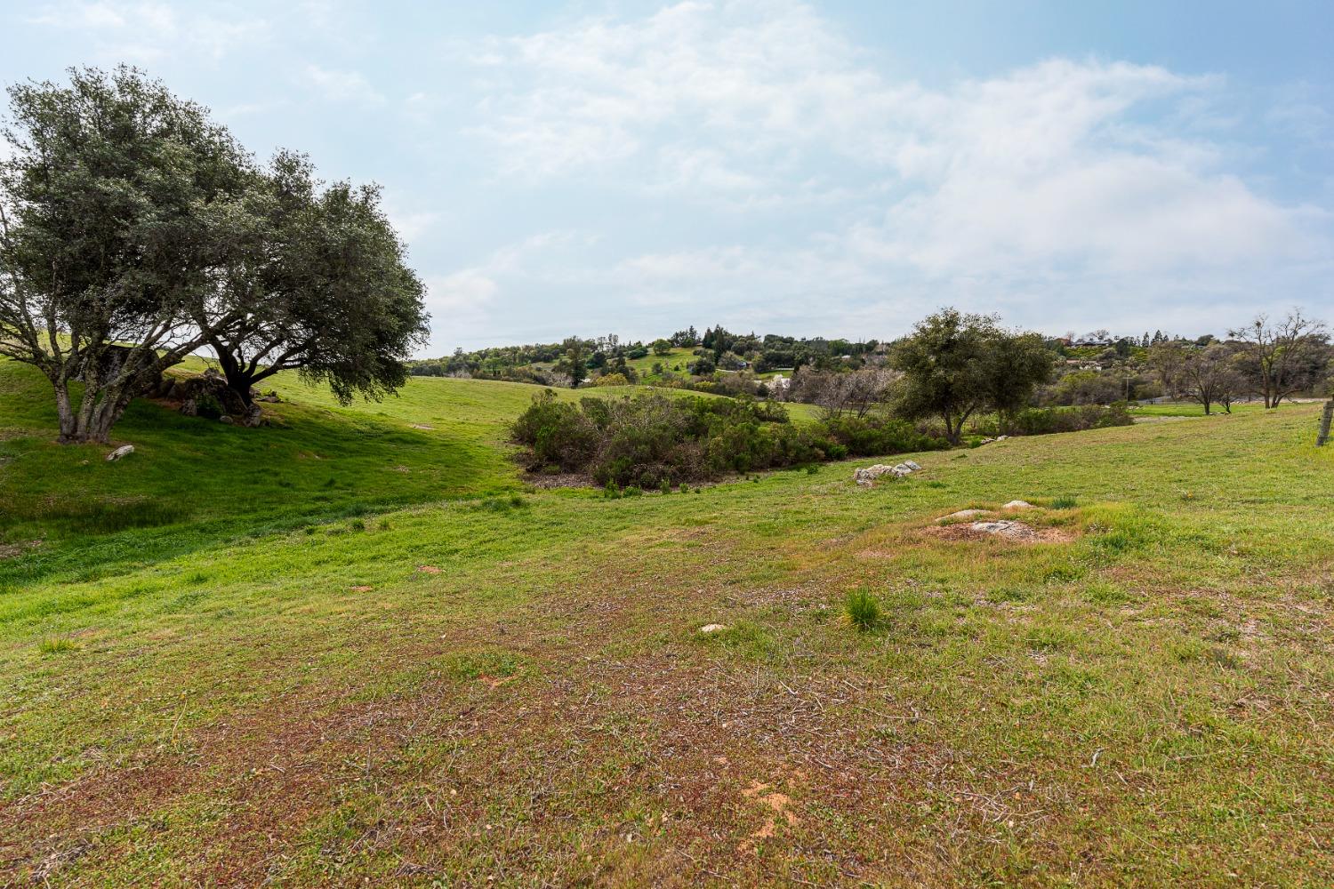 3180 Rattlesnake Road Newcastle, CA 95658 - Photo 20 of 39 a view of an ocean from a yard