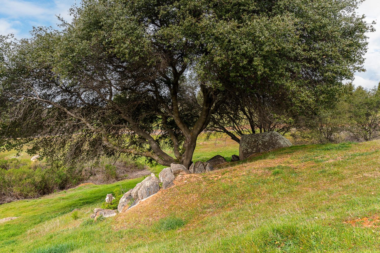 3180 Rattlesnake Road Newcastle, CA 95658 - Photo 22 of 39 a view of backyard space and trees