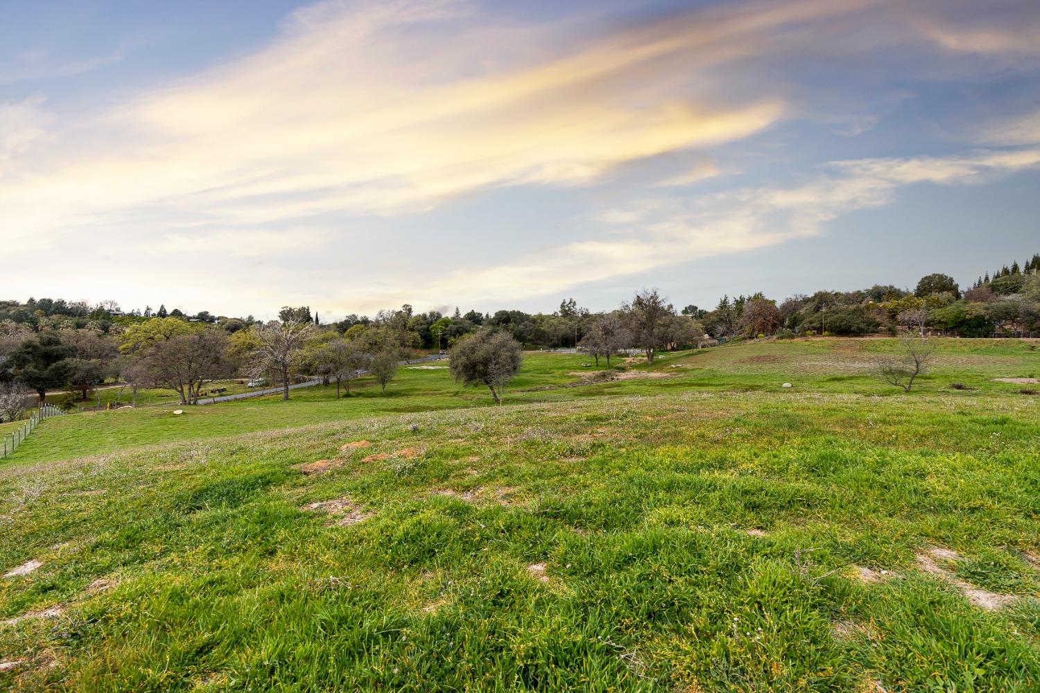 3180 Rattlesnake Road Newcastle, CA 95658 - Photo 26 of 39 a view of an ocean from a yard
