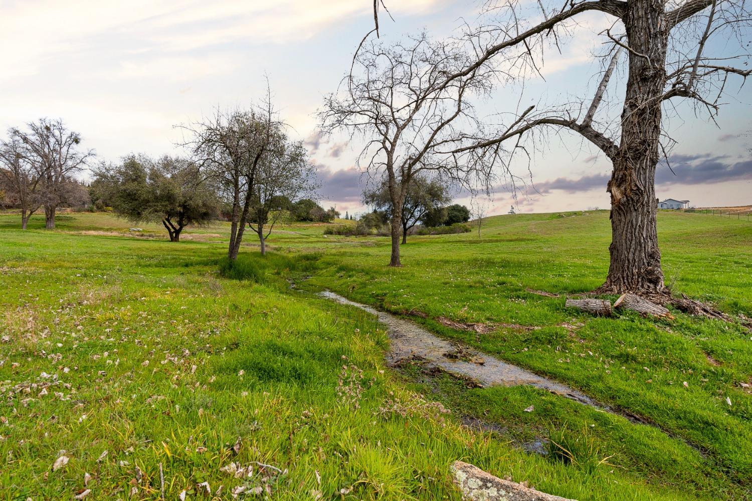 3180 Rattlesnake Road Newcastle, CA 95658 - Photo 27 of 39 a view of an outdoor space with a lake view