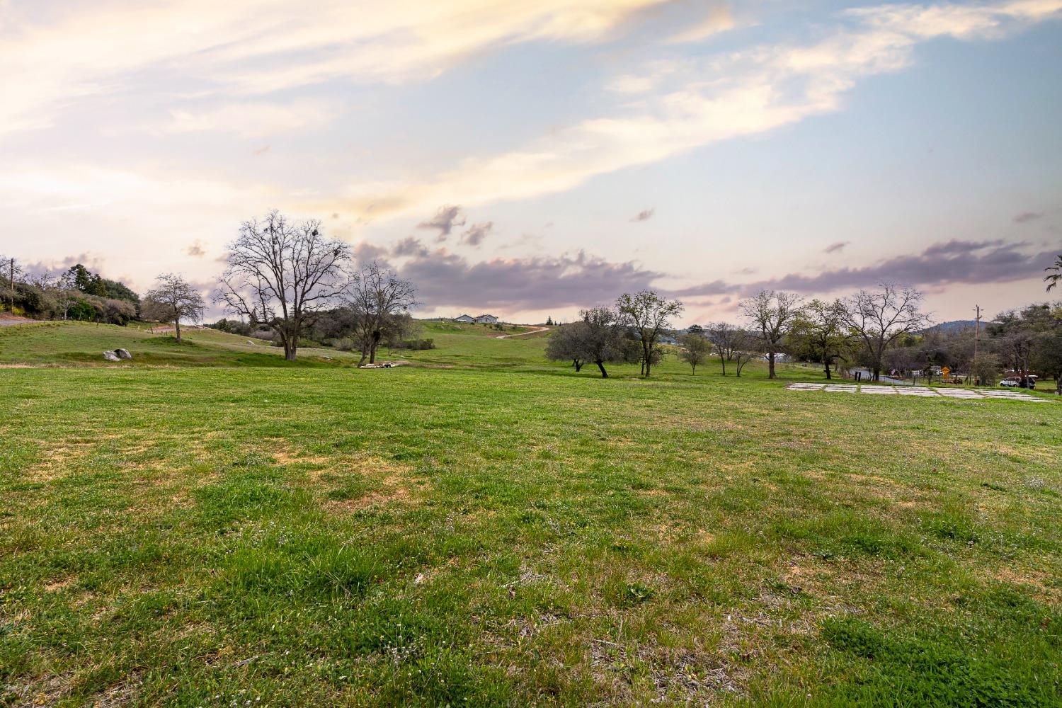 3180 Rattlesnake Road Newcastle, CA 95658 - Photo 29 of 39 a view of a field with an ocean and trees