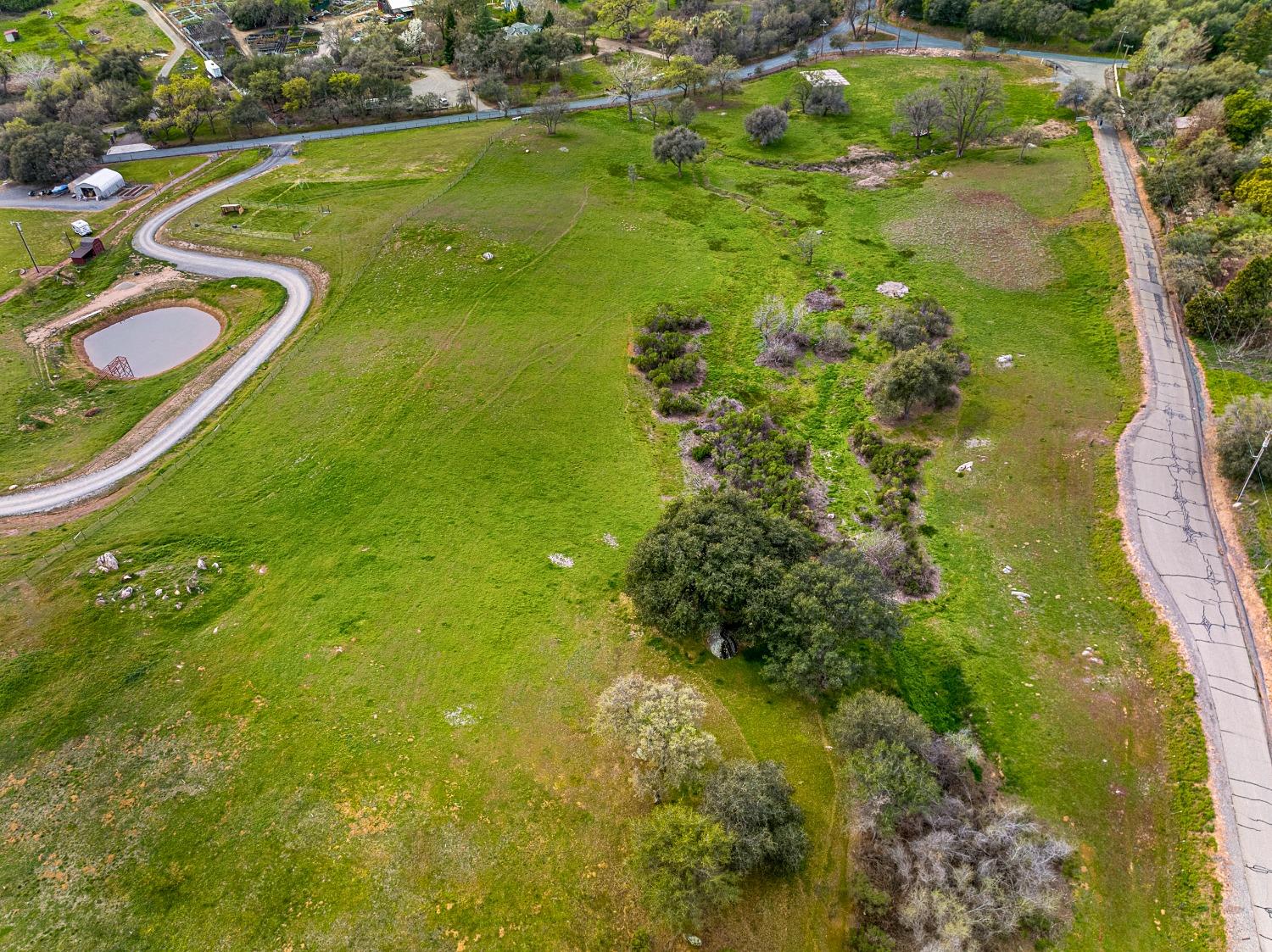 3180 Rattlesnake Road Newcastle, CA 95658 - Photo 32 of 39 a view of a garden