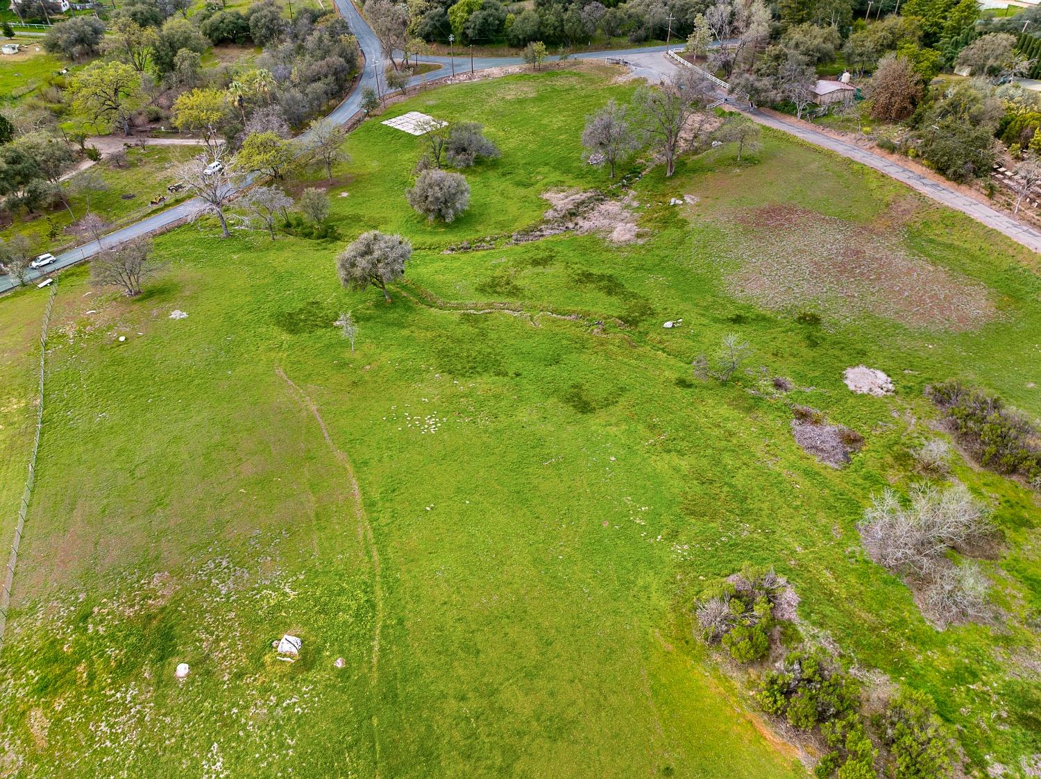 3180 Rattlesnake Road Newcastle, CA 95658 - Photo 33 of 39 a view of a garden