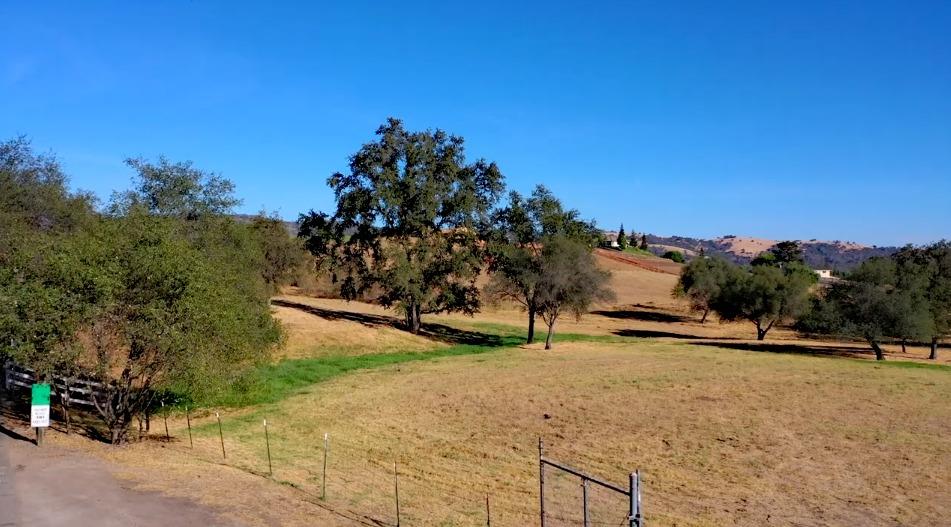 3180 Rattlesnake Road Newcastle, CA 95658 - Photo 38 of 39 a view of outdoor space and yard