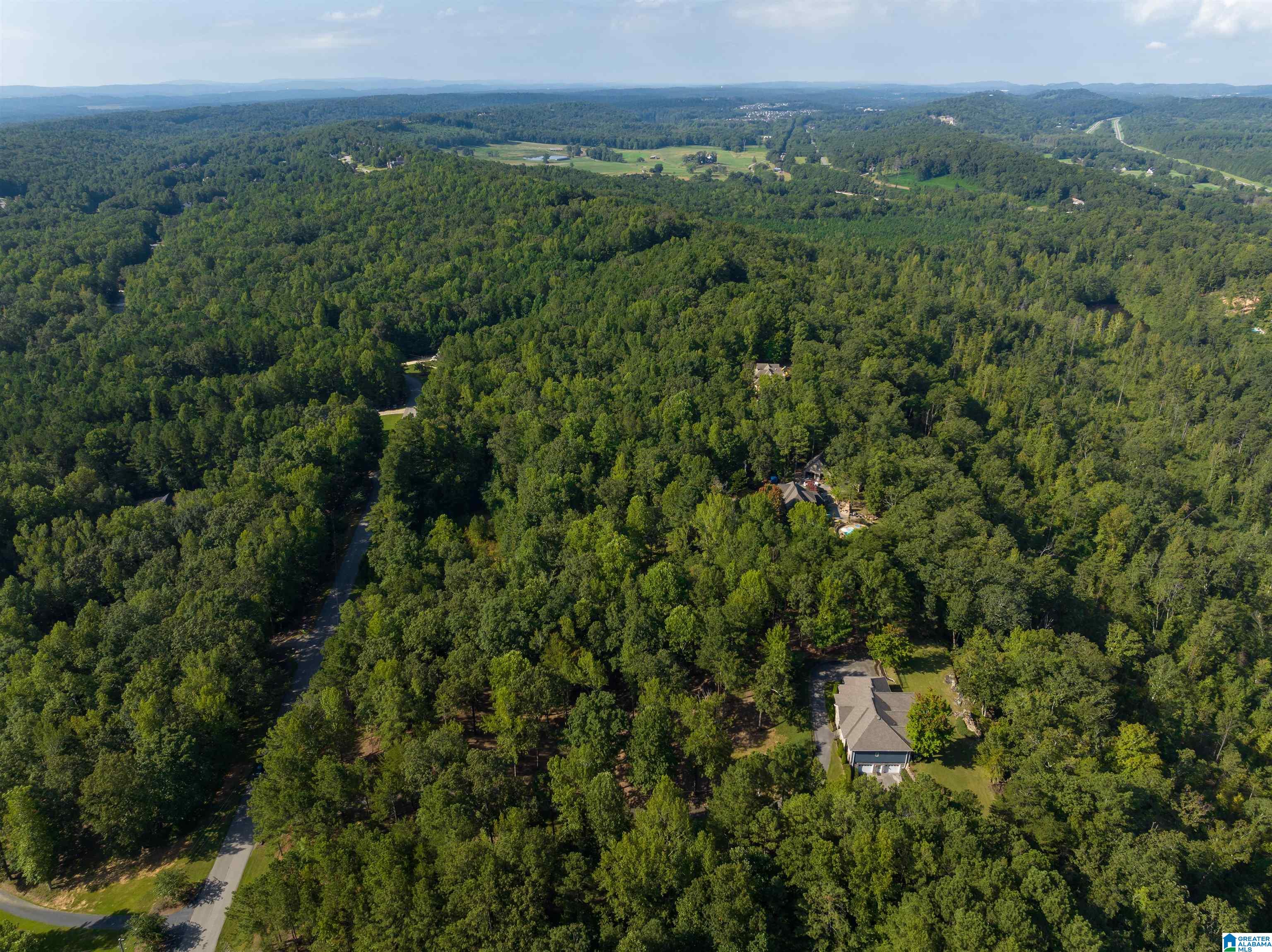 266 Hickory Valley Road Trussville, AL 35173 - Photo 54 of 61