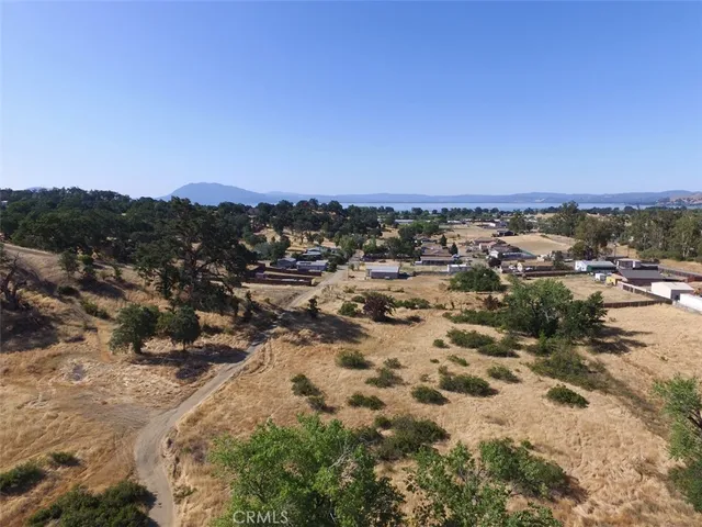 a view of a dry yard with a tree