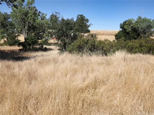 a view of a dry yard with trees