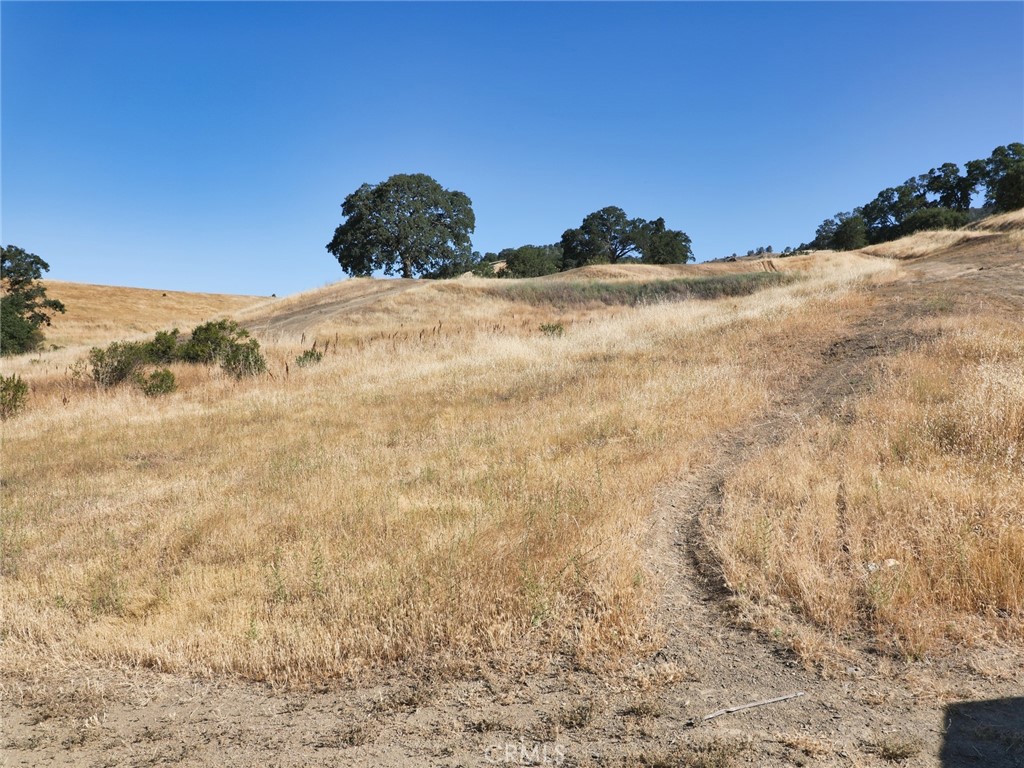 7538 Lake Street Nice, CA 95464 - Photo 7 of 8 a view of a dry yard with trees