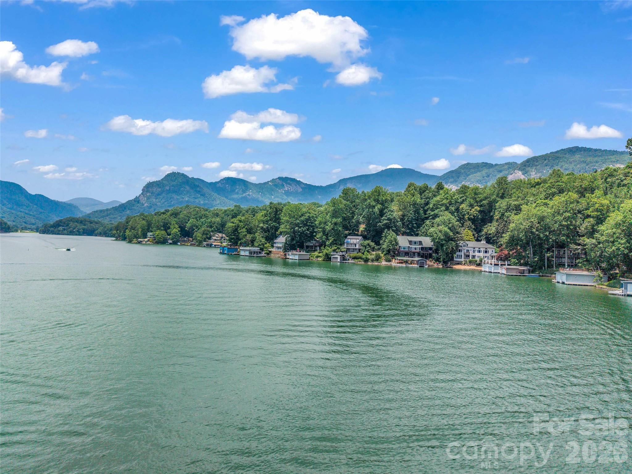 454 Cut Away Road Lake Lure, NC 28746 - Photo 42 of 42