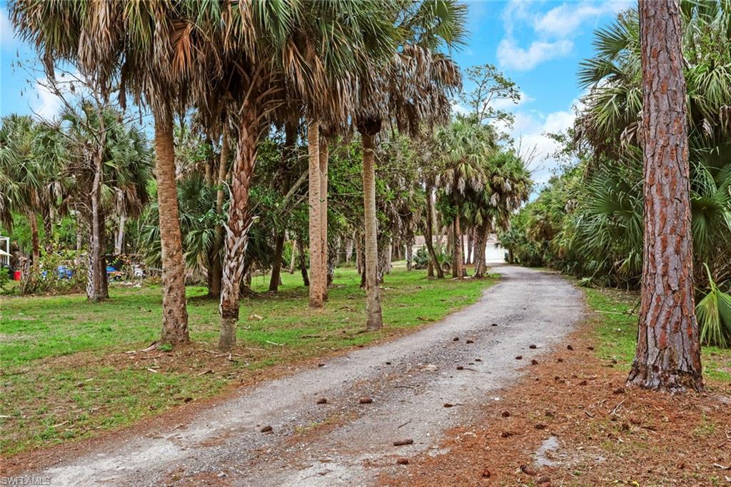 190 15th Street Southwest Naples, FL 34117 - Photo 26 of 26 a view of a park with palm trees