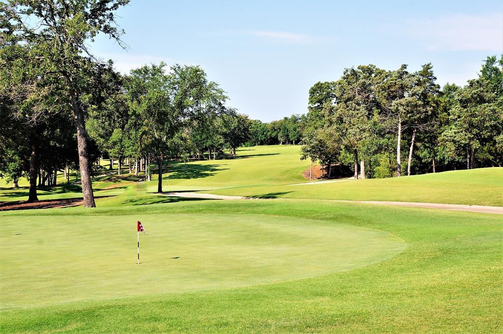 28 Windrose Loop Gordonville, TX 76245 - Photo 17 of 35 a view of a swimming pool with an outdoor space and seating area