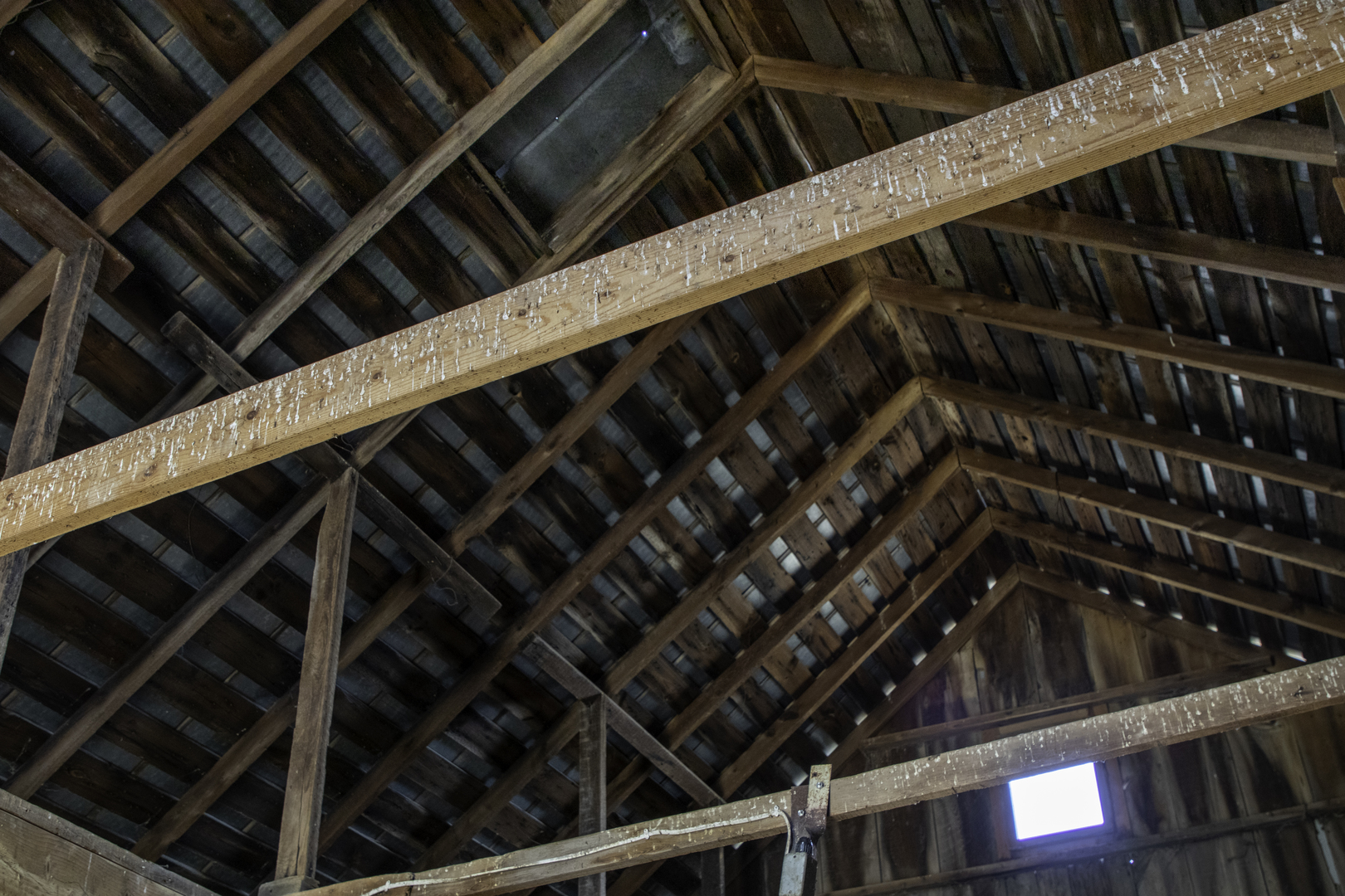 1260 East Old Wagon Road Byron, IL 61010 - Photo 40 of 63