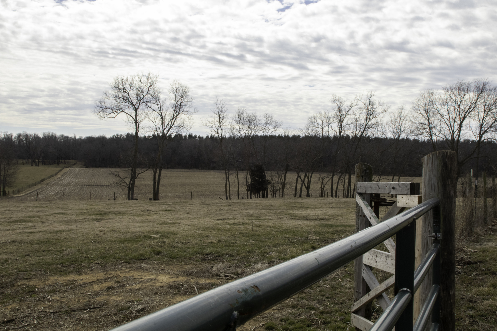 1260 East Old Wagon Road Byron, IL 61010 - Photo 43 of 63