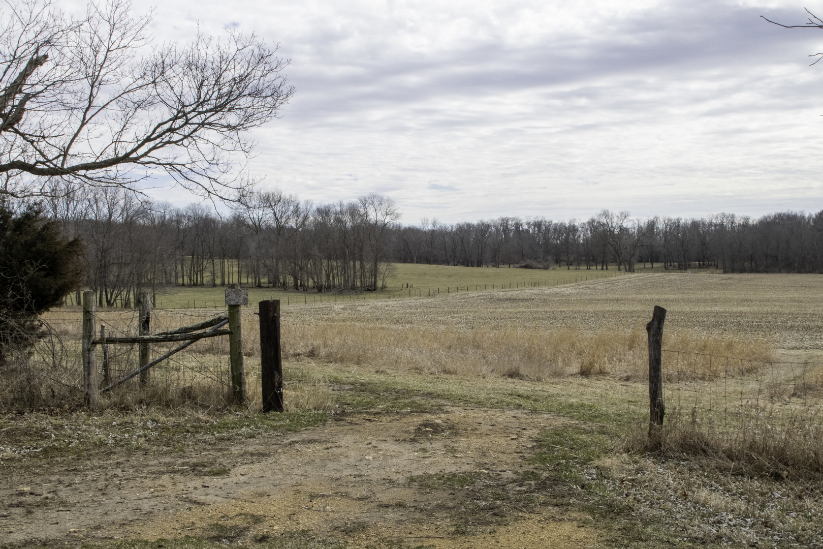 1260 East Old Wagon Road Byron, IL 61010 - Photo 46 of 63