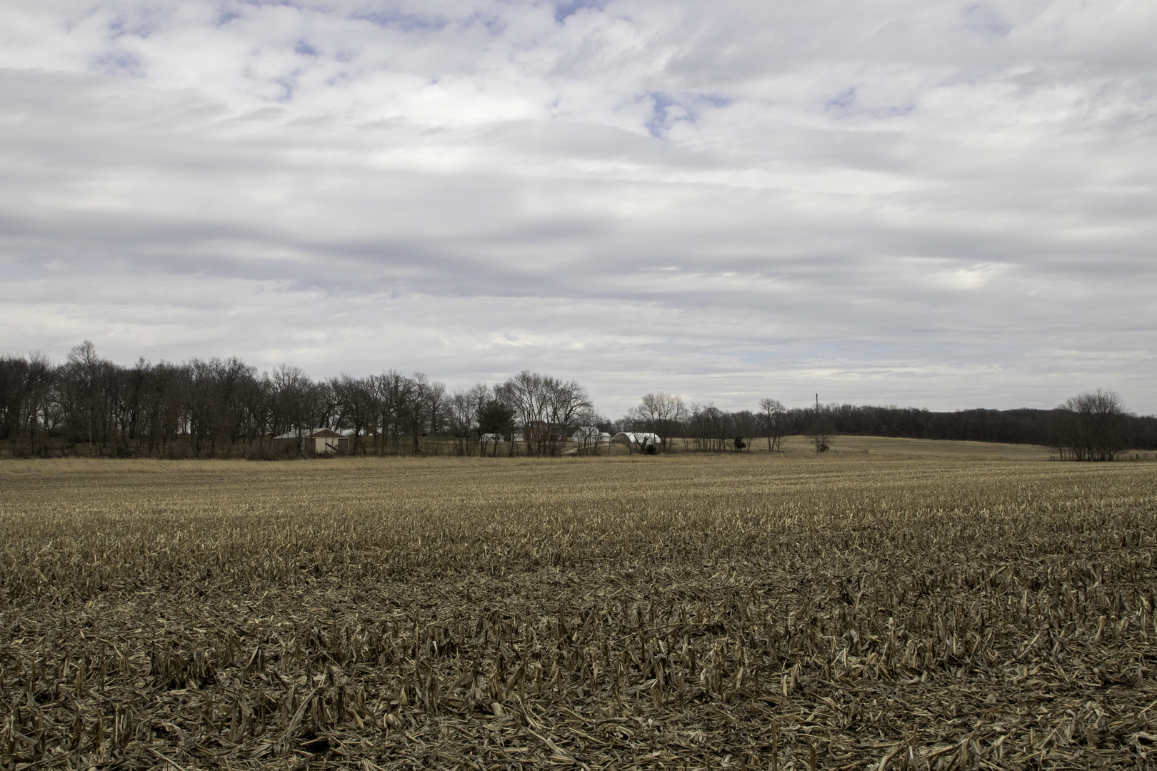 1260 East Old Wagon Road Byron, IL 61010 - Photo 47 of 63