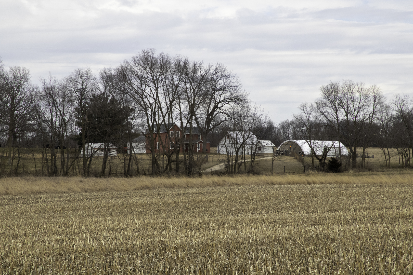 1260 East Old Wagon Road Byron, IL 61010 - Photo 48 of 63