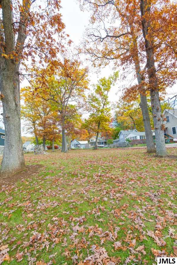 2801 Bartlett Road Pleasant Lake, MI 49272 - Photo 13 of 18 Photo 13