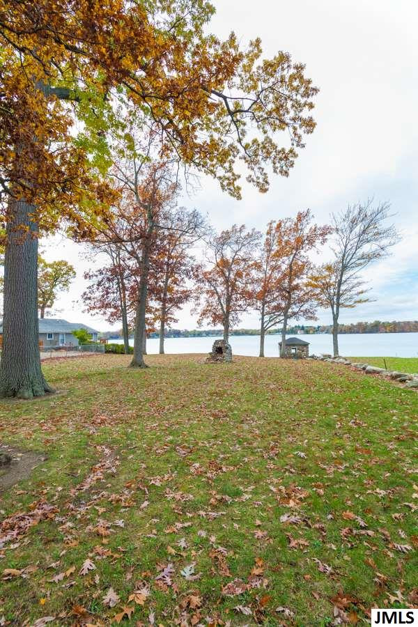 2801 Bartlett Road Pleasant Lake, MI 49272 - Photo 5 of 18 Photo 5