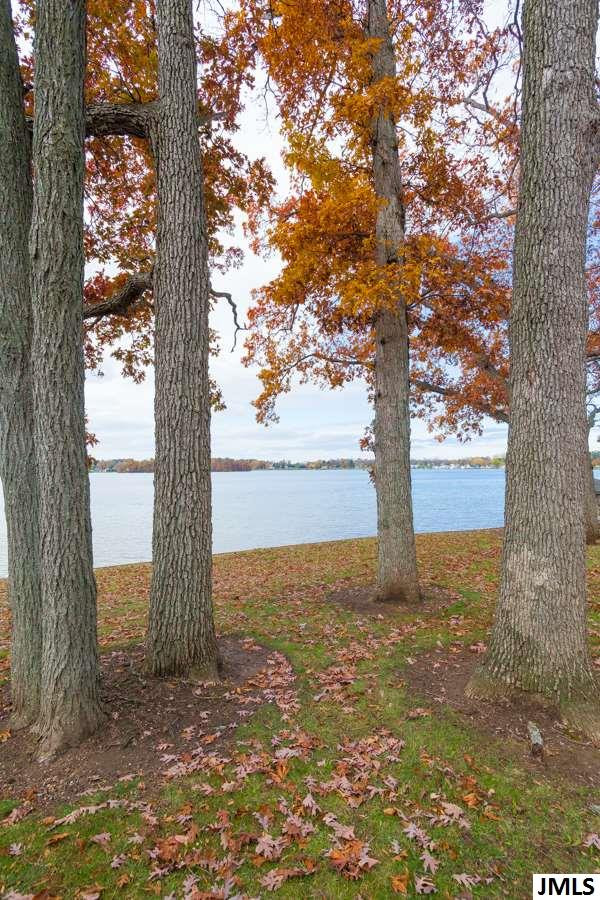2801 Bartlett Road Pleasant Lake, MI 49272 - Photo 9 of 18 Photo 9