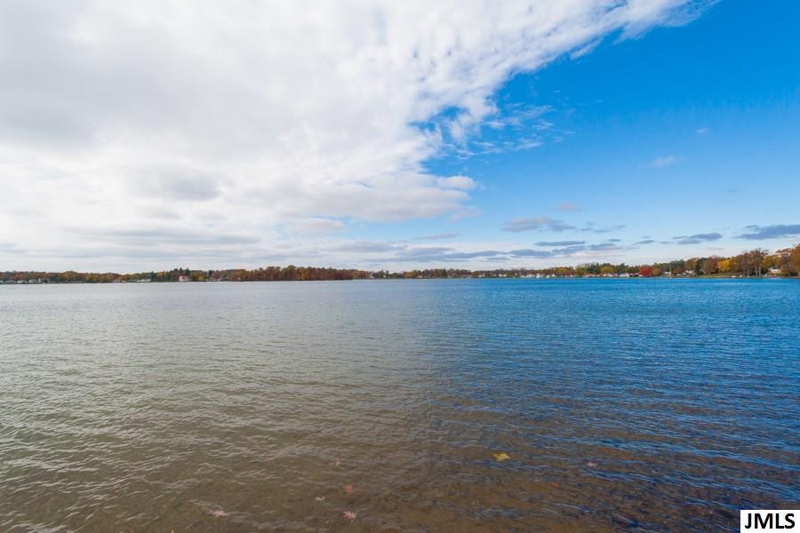 2801 Bartlett Road Pleasant Lake, MI 49272 - Photo 10 of 18 Photo 10