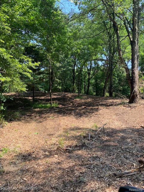 7 Sleaford-parcel 7 - 2 Acres Road Howell, MI 48843 - Photo 12 of 45