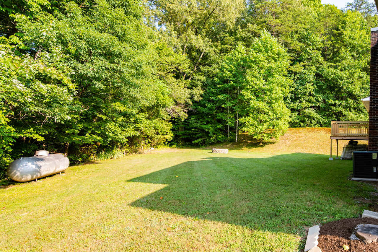 496 Monroe Road Luttrell, TN 37779 - Photo 36 of 39 _DSC9946