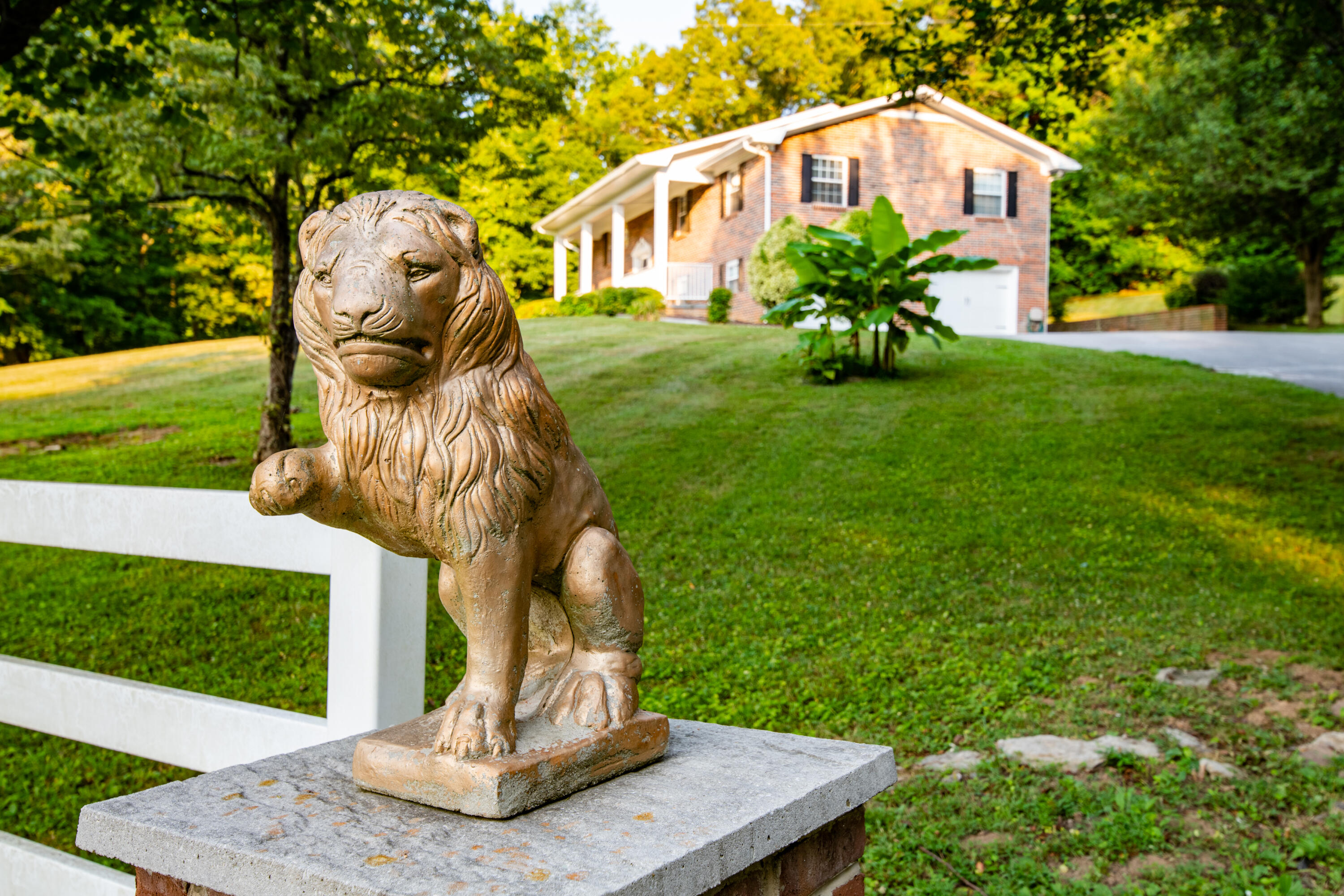 496 Monroe Road Luttrell, TN 37779 - Photo 39 of 39 _DSC9967