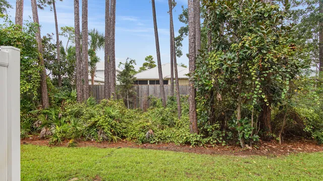 a view of a backyard with potted plants and large trees
