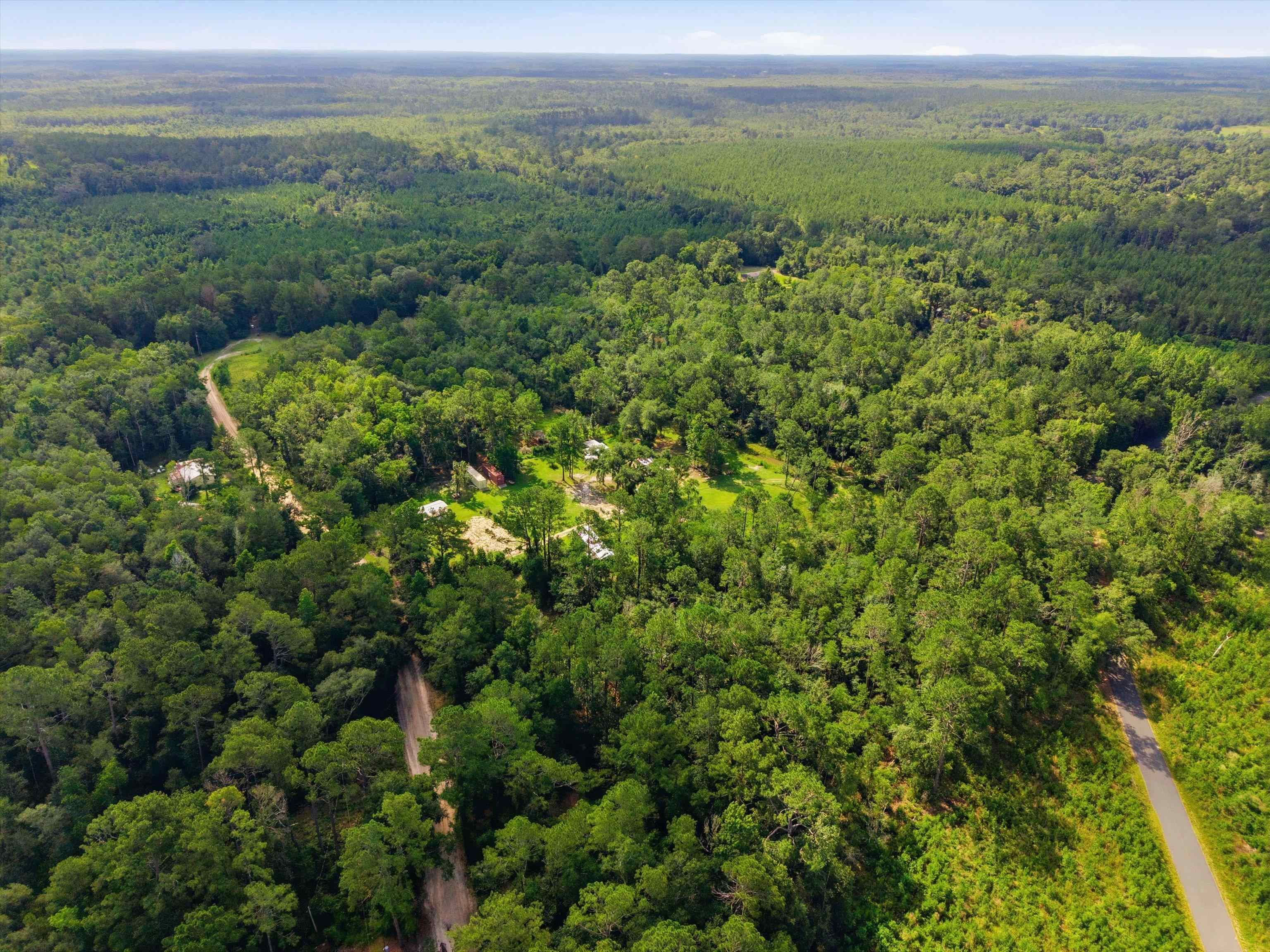 Xxx Neely Road Monticello, FL 32344 - Photo 19 of 37