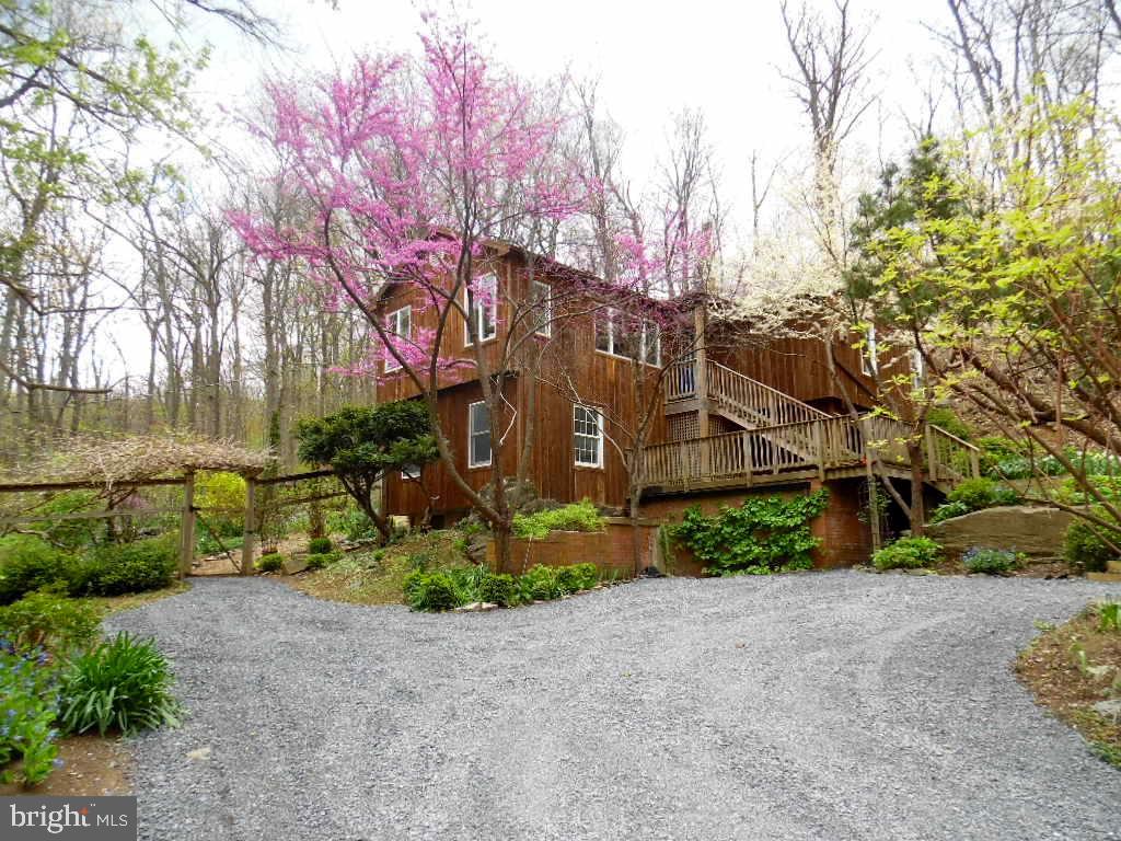 610 Wilderness Road Linden, VA 22642 - Photo 1 of 68 Natural Setting with red and white redbud trees.