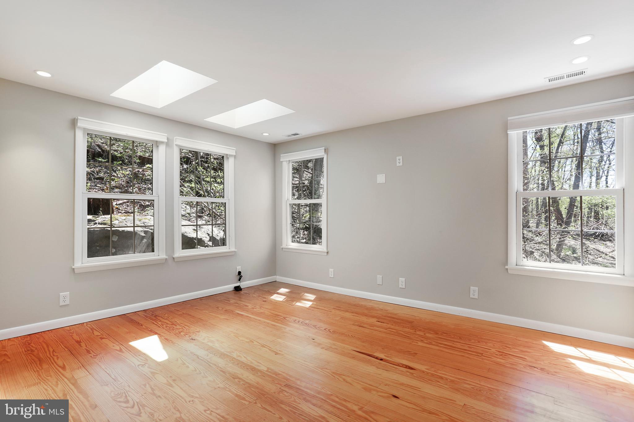 610 Wilderness Road Linden, VA 22642 - Photo 14 of 68 Main Level Bedroom with skylights
