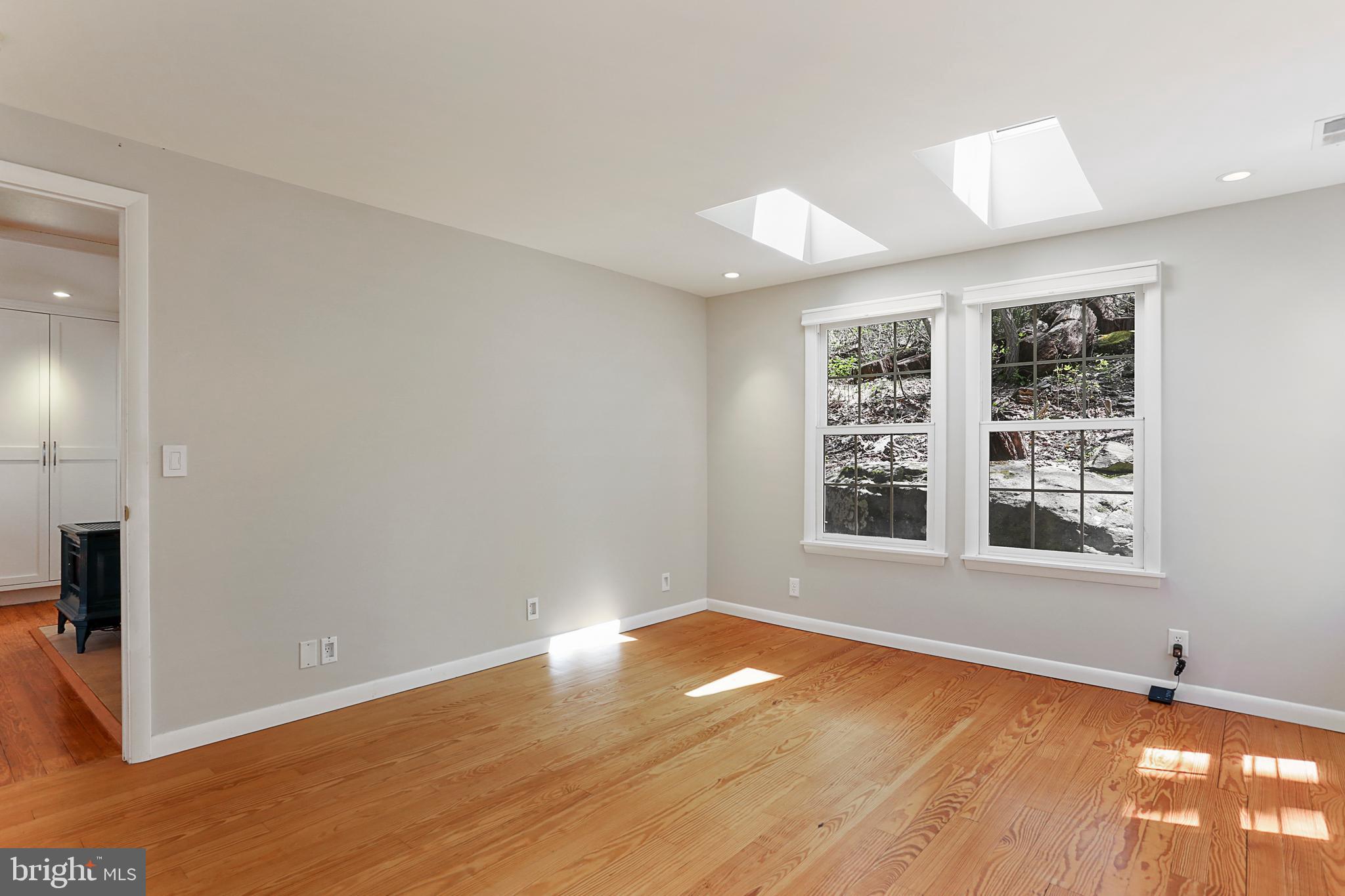 610 Wilderness Road Linden, VA 22642 - Photo 17 of 68 Main Level Bedroom with skylights
