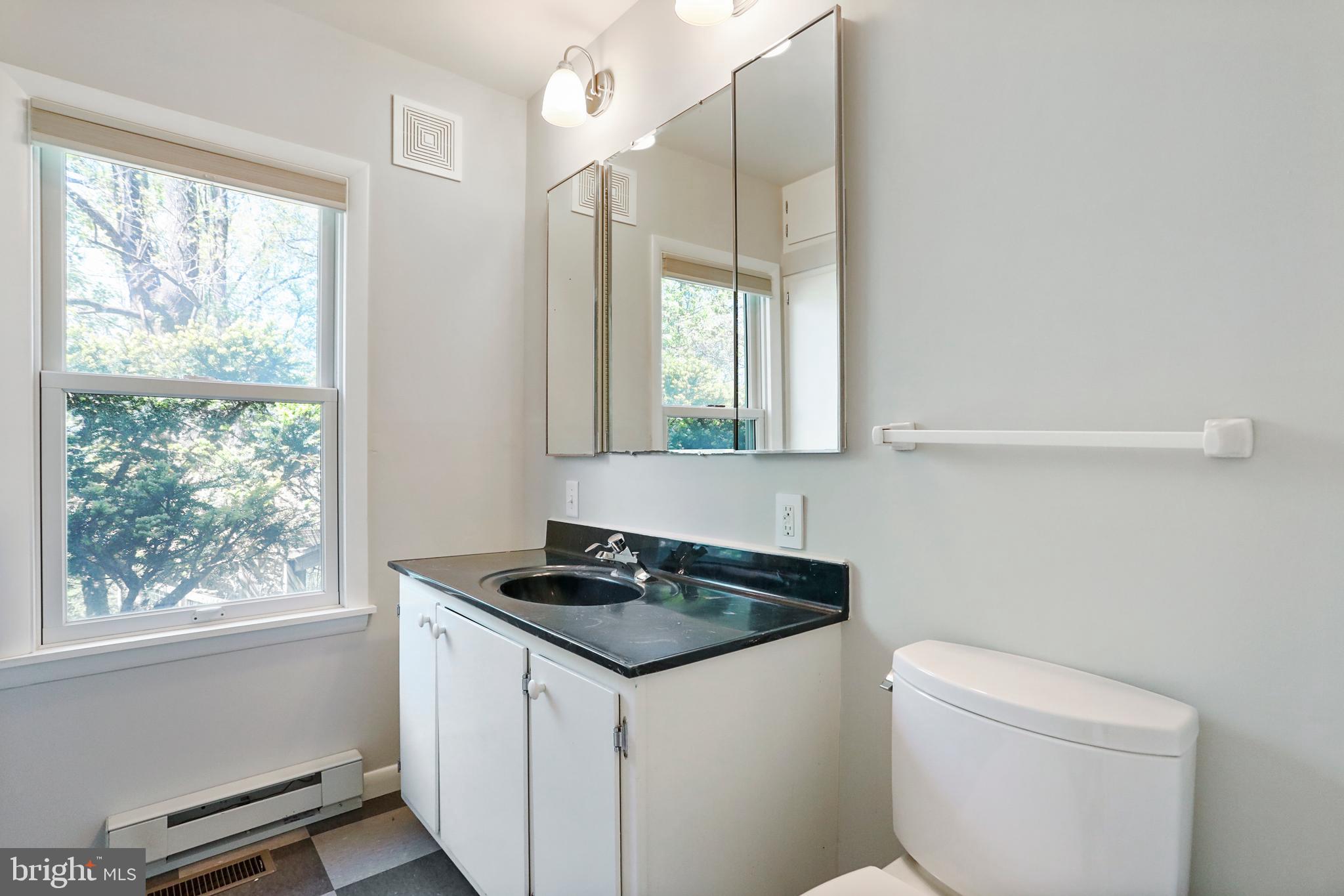 610 Wilderness Road Linden, VA 22642 - Photo 29 of 68 Lower Level Bathroom with auxiliary baseboard heat