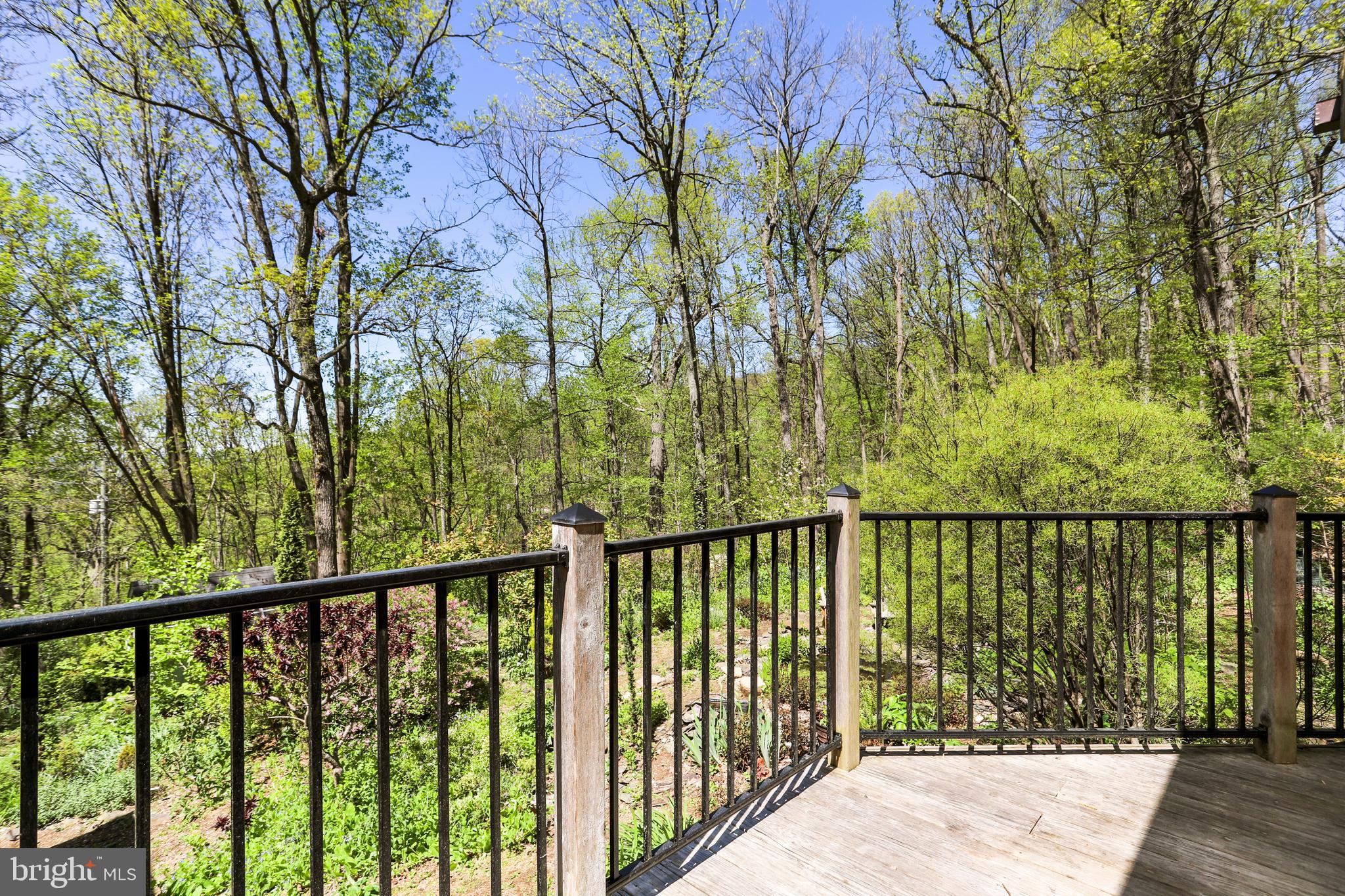 610 Wilderness Road Linden, VA 22642 - Photo 40 of 68 Rear upper level deck