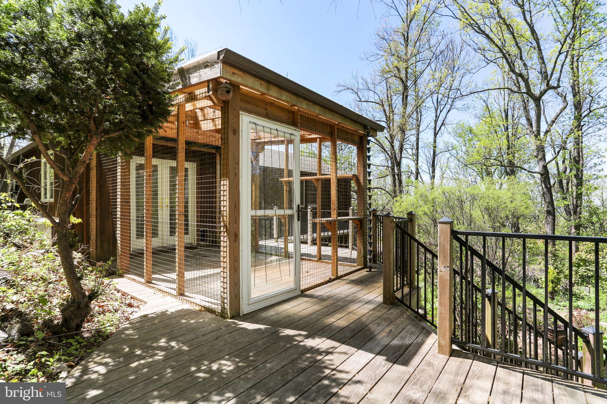 610 Wilderness Road Linden, VA 22642 - Photo 41 of 68 Catio/Patio