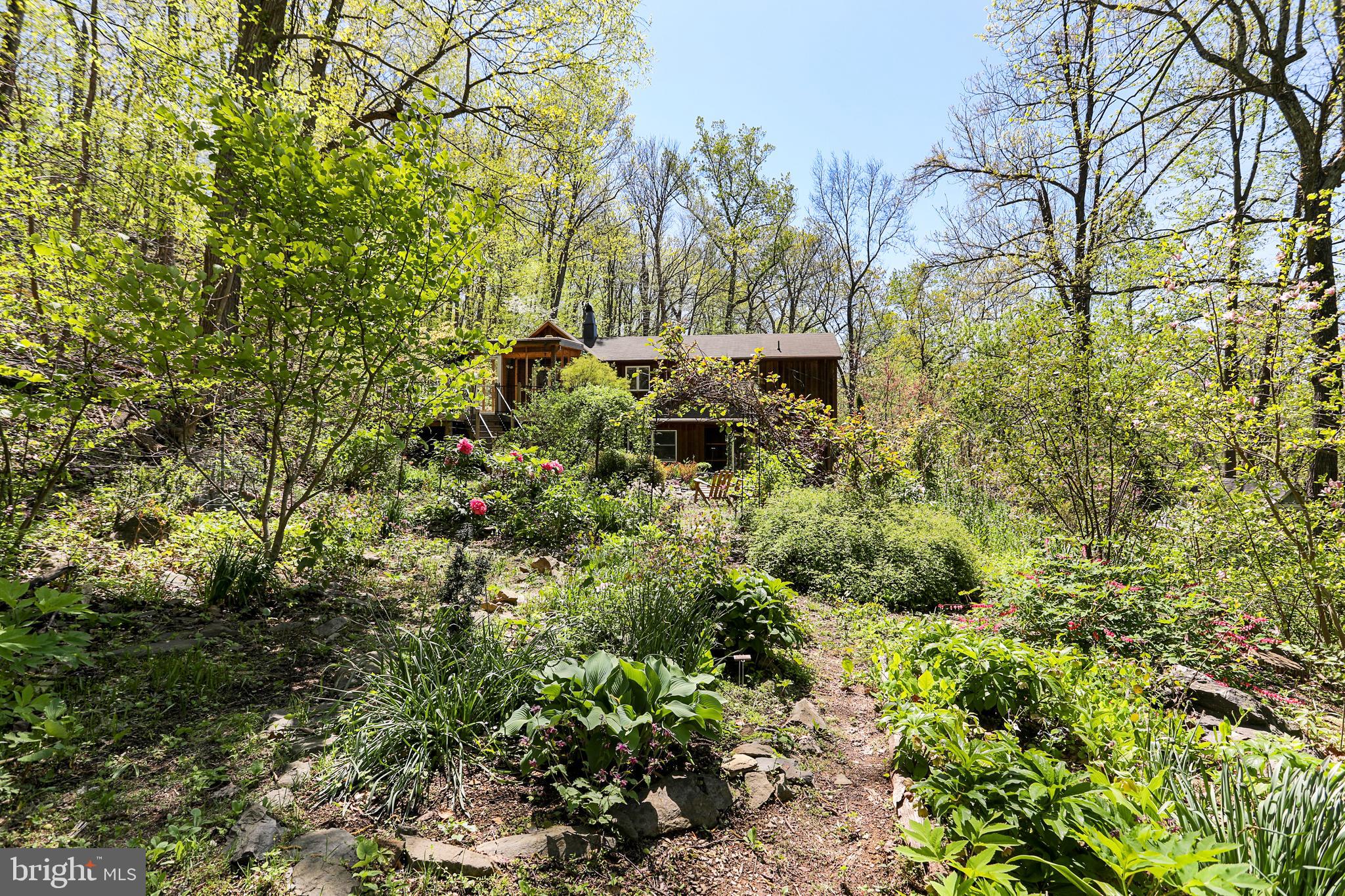 610 Wilderness Road Linden, VA 22642 - Photo 42 of 68 Nature at its finest.