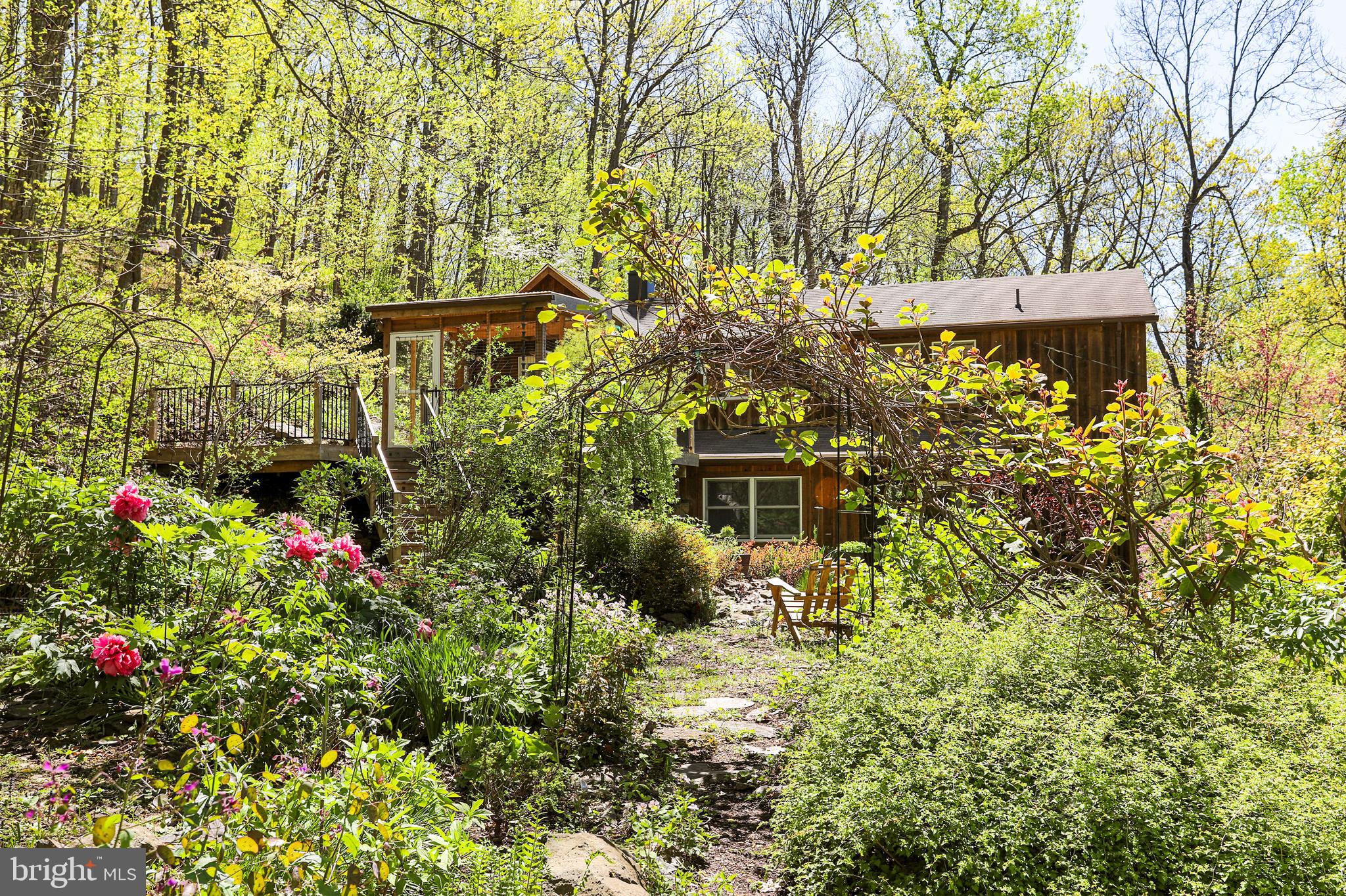 610 Wilderness Road Linden, VA 22642 - Photo 44 of 68 Woodland garden