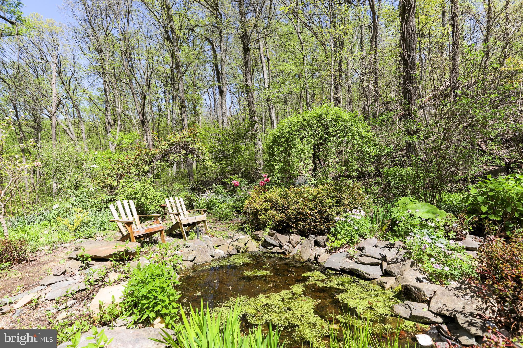 610 Wilderness Road Linden, VA 22642 - Photo 47 of 68 Small pond with electric waterfall.